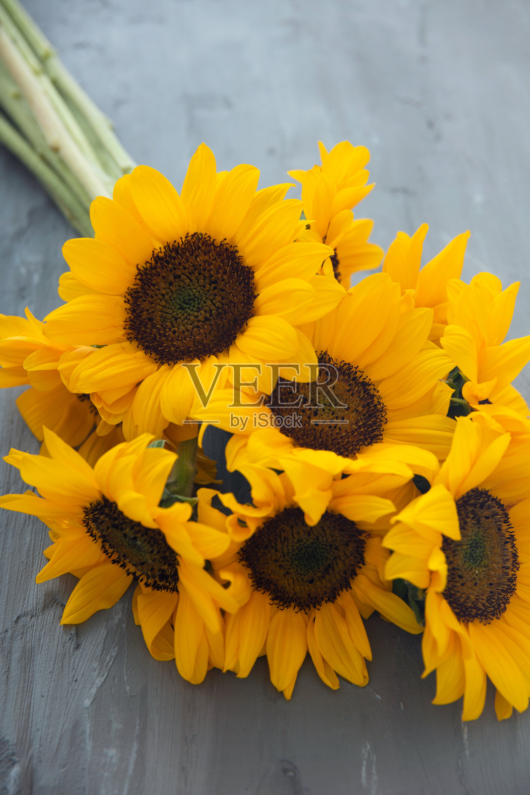 一束美丽的向日葵照片摄影图片