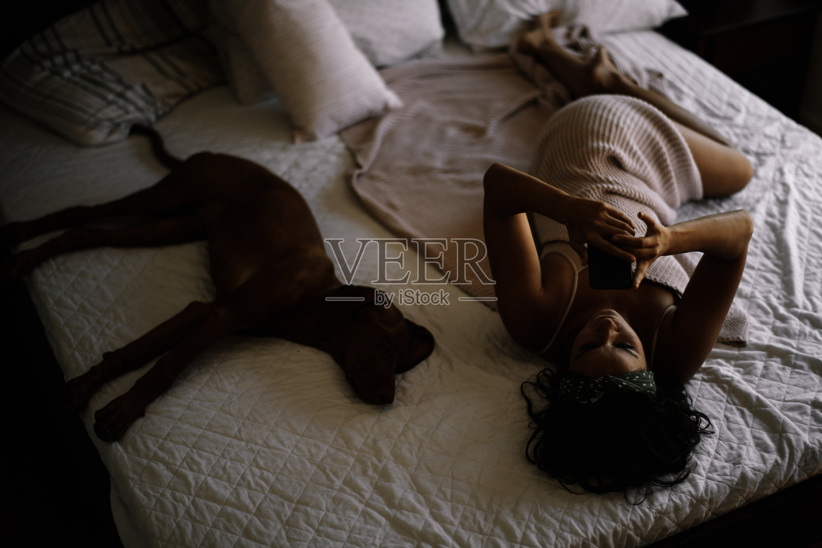 美丽的女孩躺在床上和狗。照片摄影图片