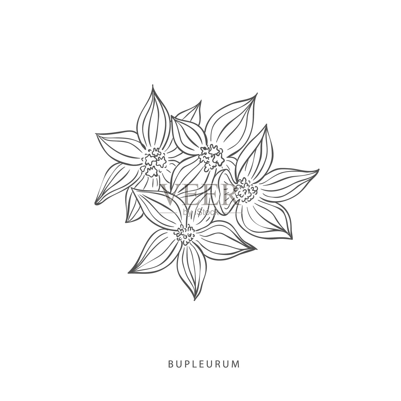 绿色植物设计元素植物标志设计元素图片