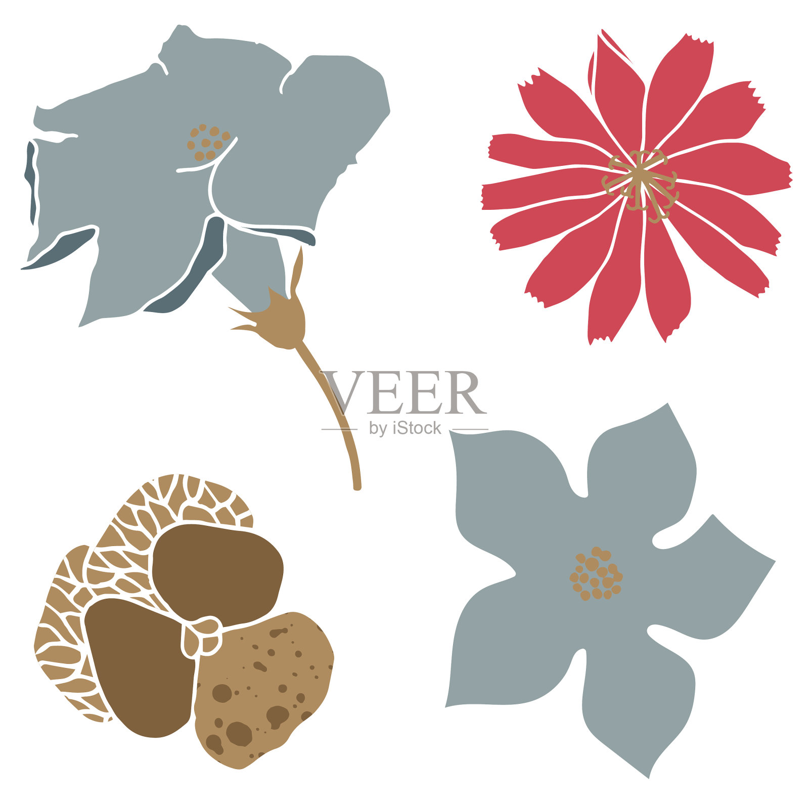 带着可爱的紫罗兰插画图片素材