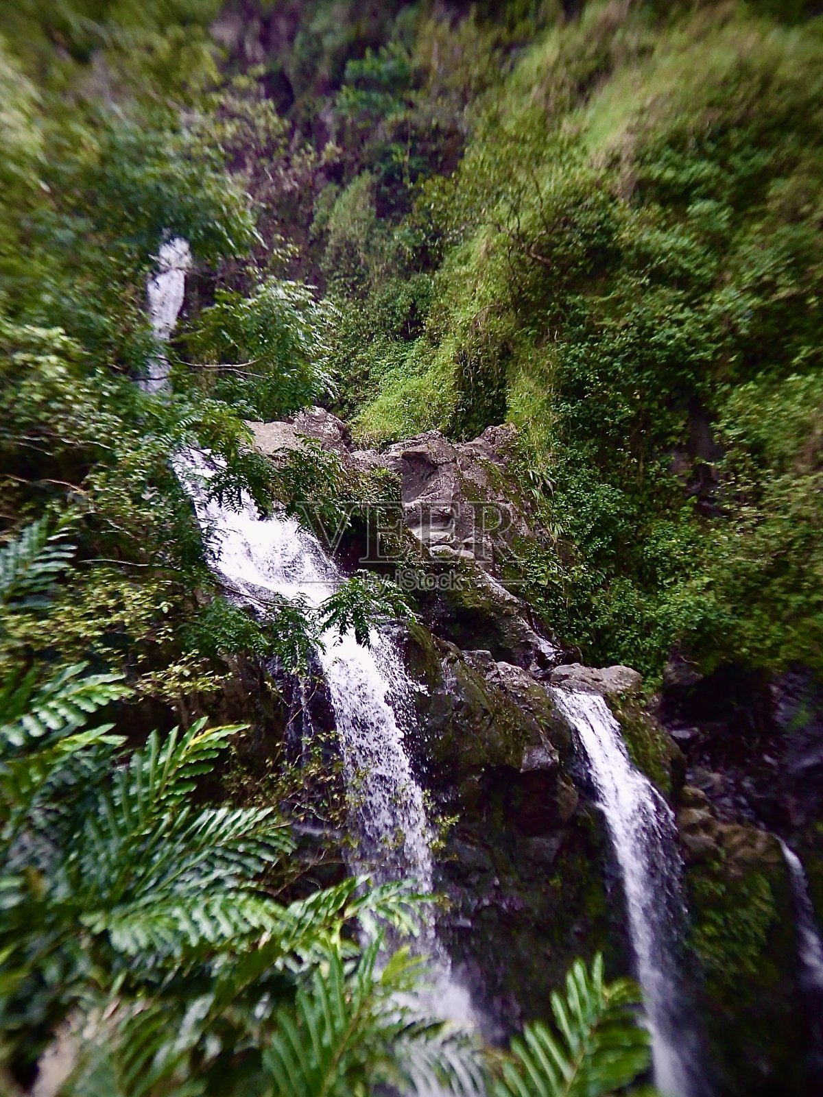 牙买加蓝山瀑布照片摄影图片