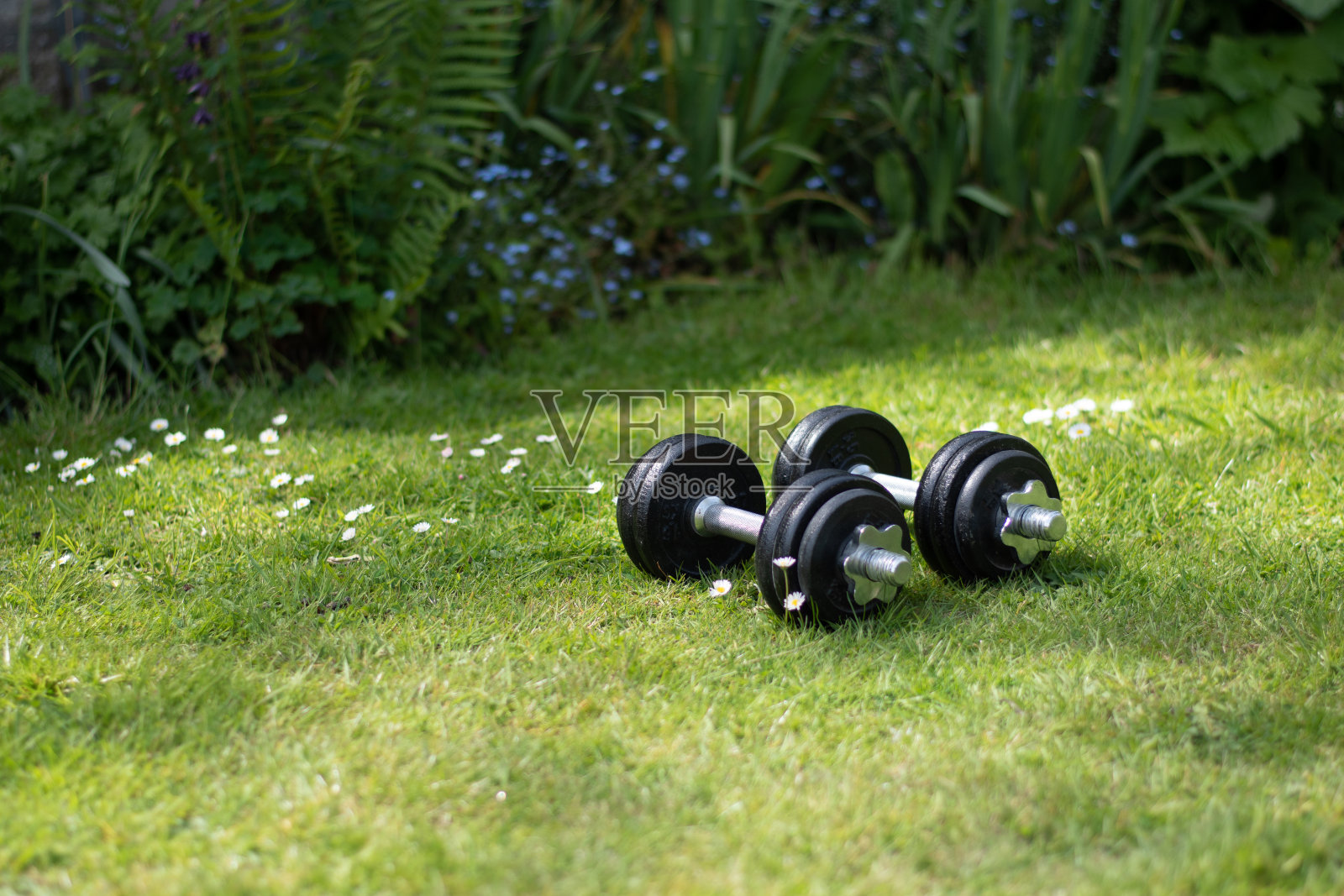 在冠状病毒封锁期间保持身体健康。照片摄影图片