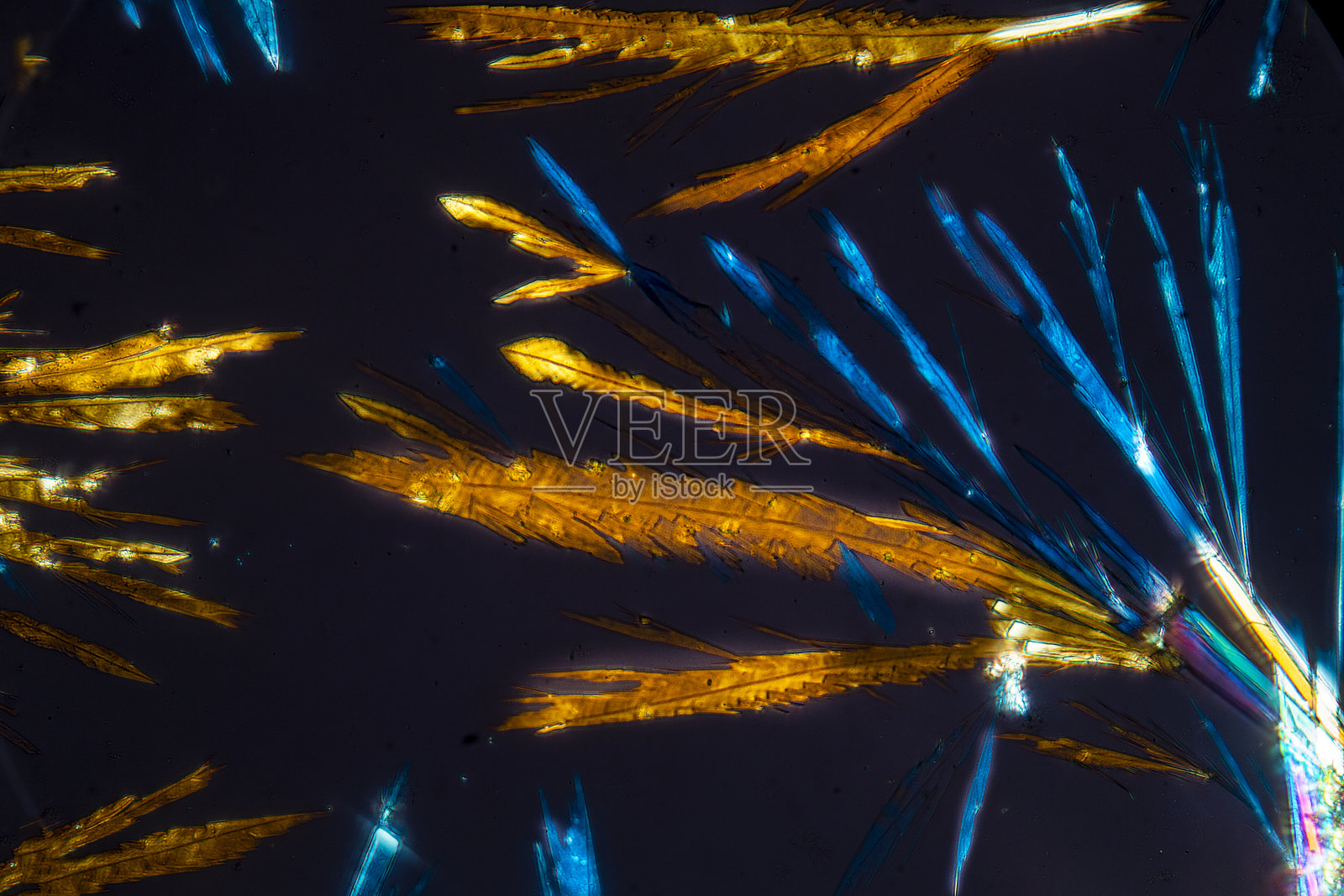 氨基酸丙氨酸晶体的显微图。照片摄影图片