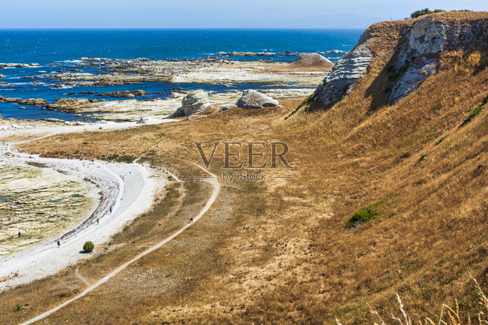 新西兰凯库拉的海岸线和海狗聚集的岩石照片摄影图片