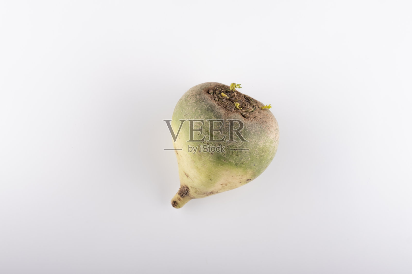 白色背景上的成熟的绿色萝卜根蔬菜照片摄影图片