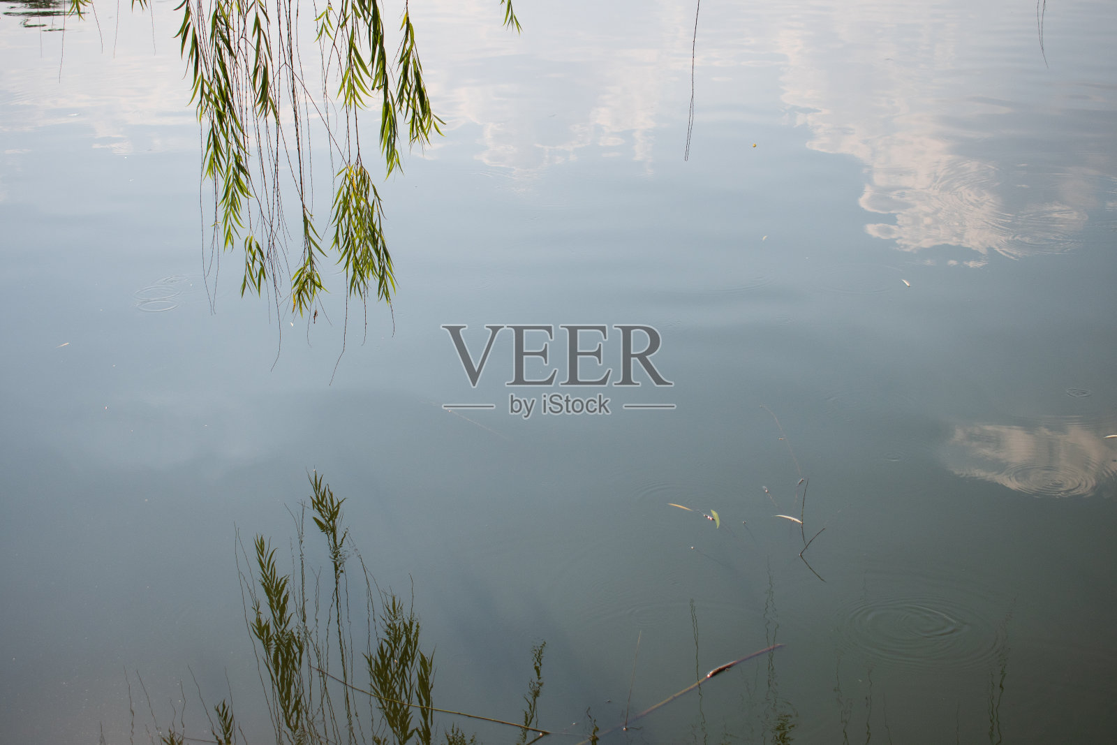 湖面上的树倒影着湖面上的云朵照片摄影图片