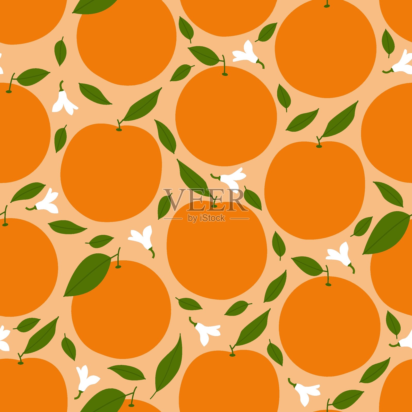 柑橘类插画图片素材