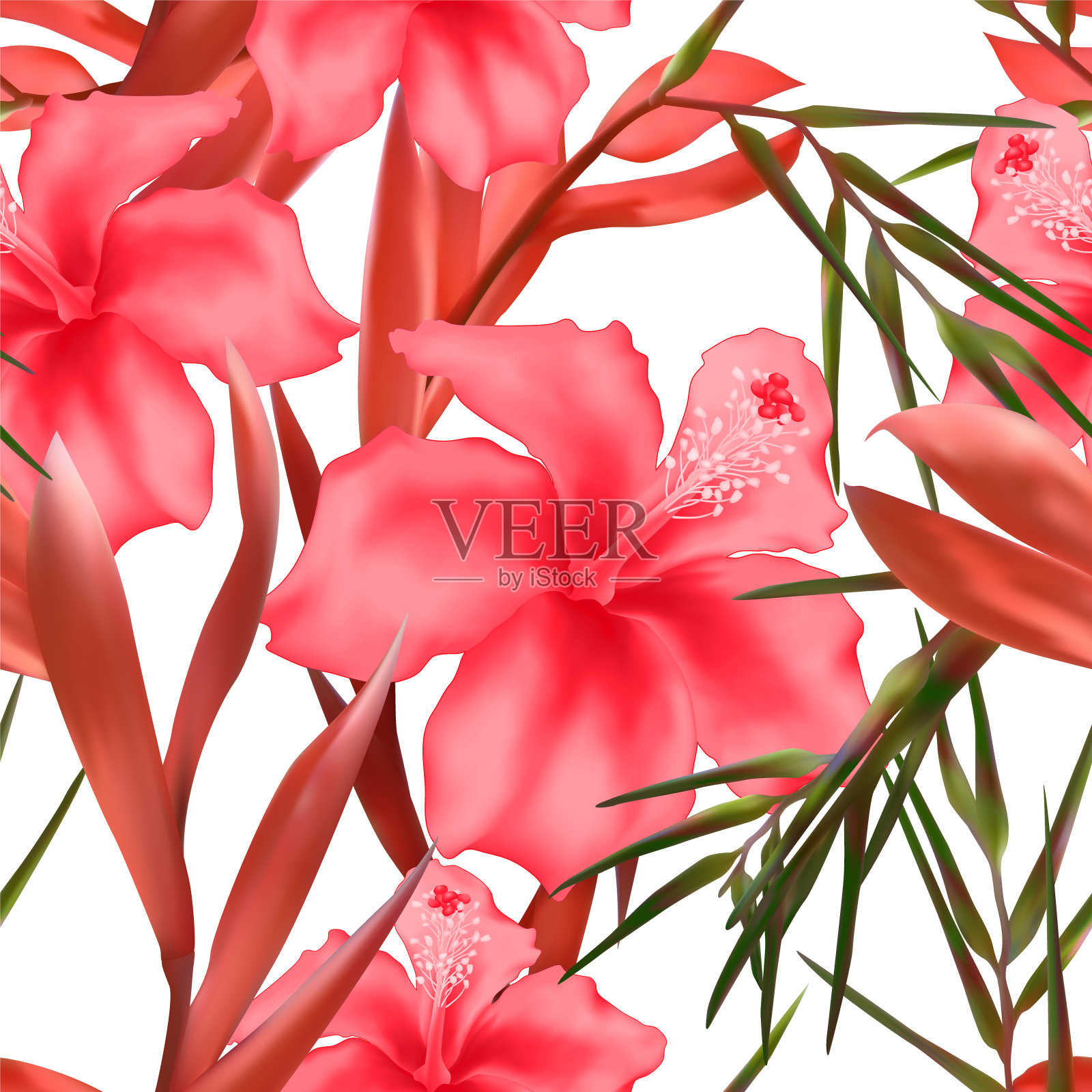 粉红色的木槿和钩藤或凤梨属巴西热带花卉，异国情调的园林植物开花无缝矢量图案。插画图片素材