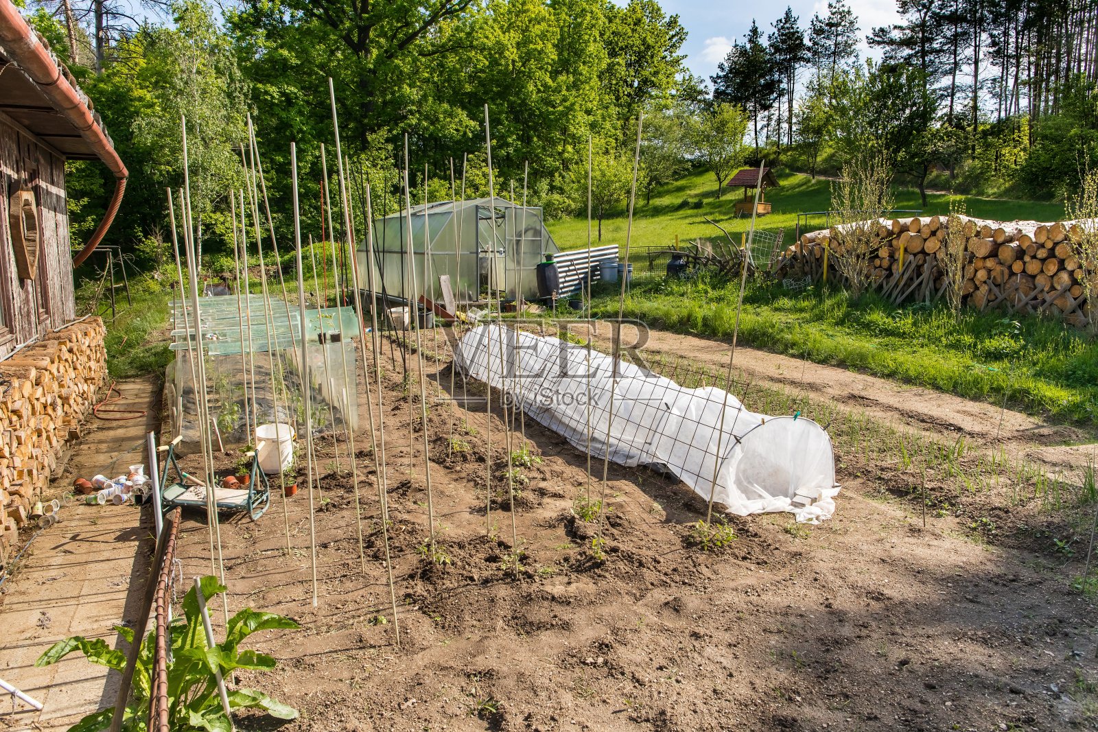 带温室的小菜园。在农村种植蔬菜。捷克共和国的园艺。照片摄影图片
