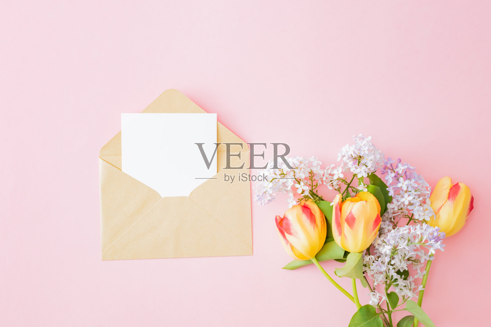 白色的贺卡和信封与紫色和黄色的郁金香在粉红色的背景上的树枝照片摄影图片