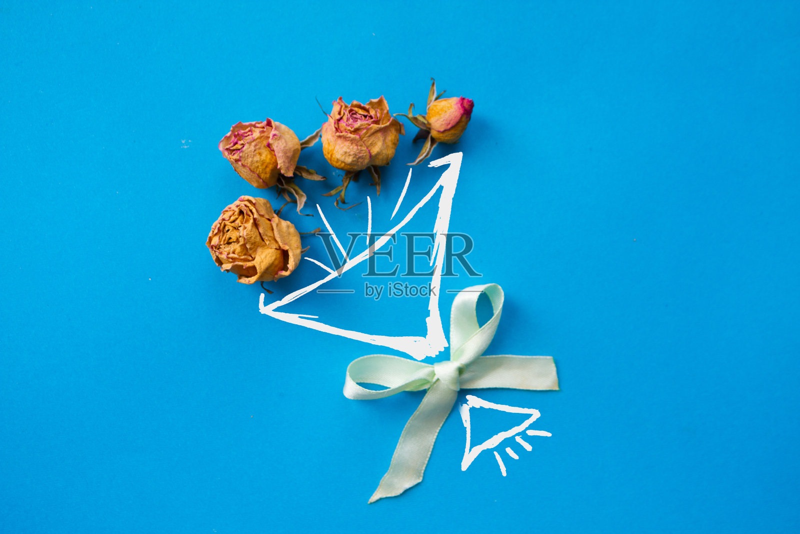 束鲜花照片摄影图片