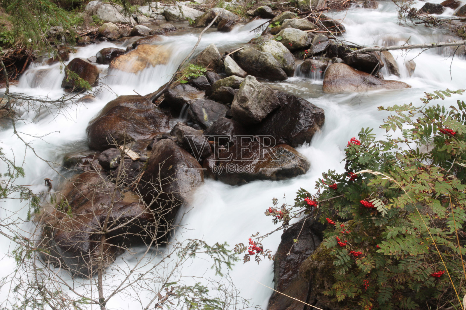 森林瀑布高角度观照片摄影图片