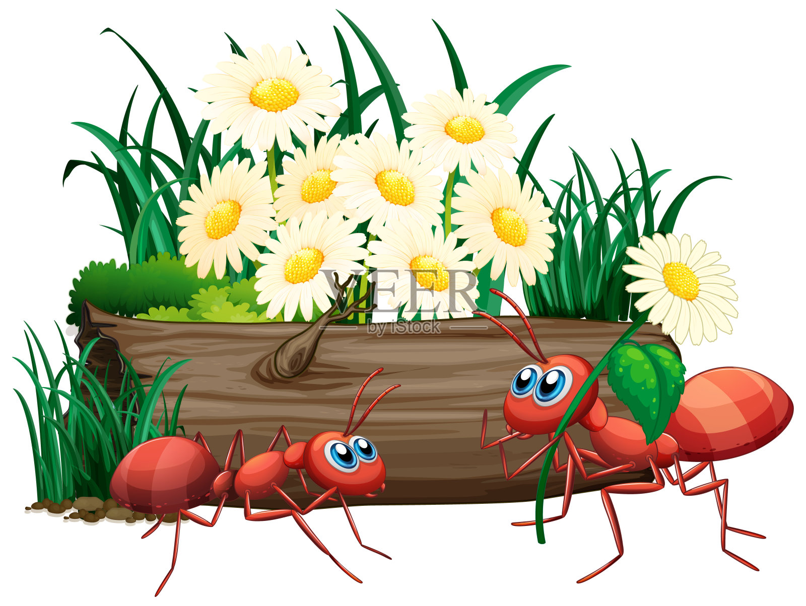 自然界中的两只蚂蚁设计元素图片