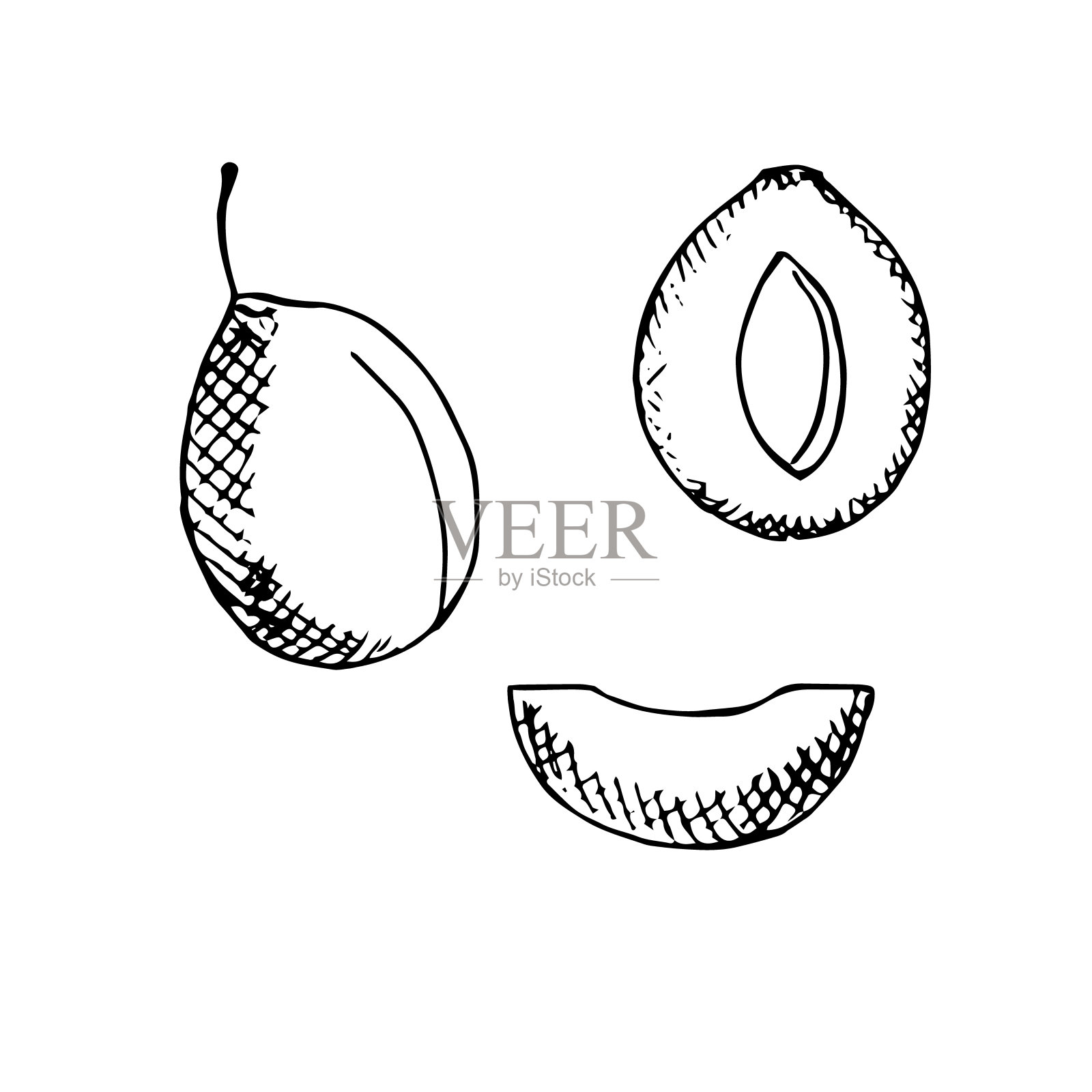 一套李子，整个水果，一半和切片，矢量插图，手绘插画图片素材