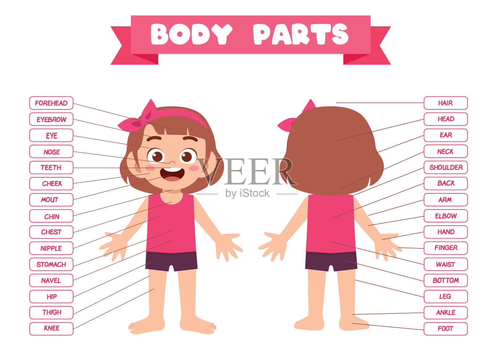 快乐可爱的小女孩身体部分解剖插画图片素材