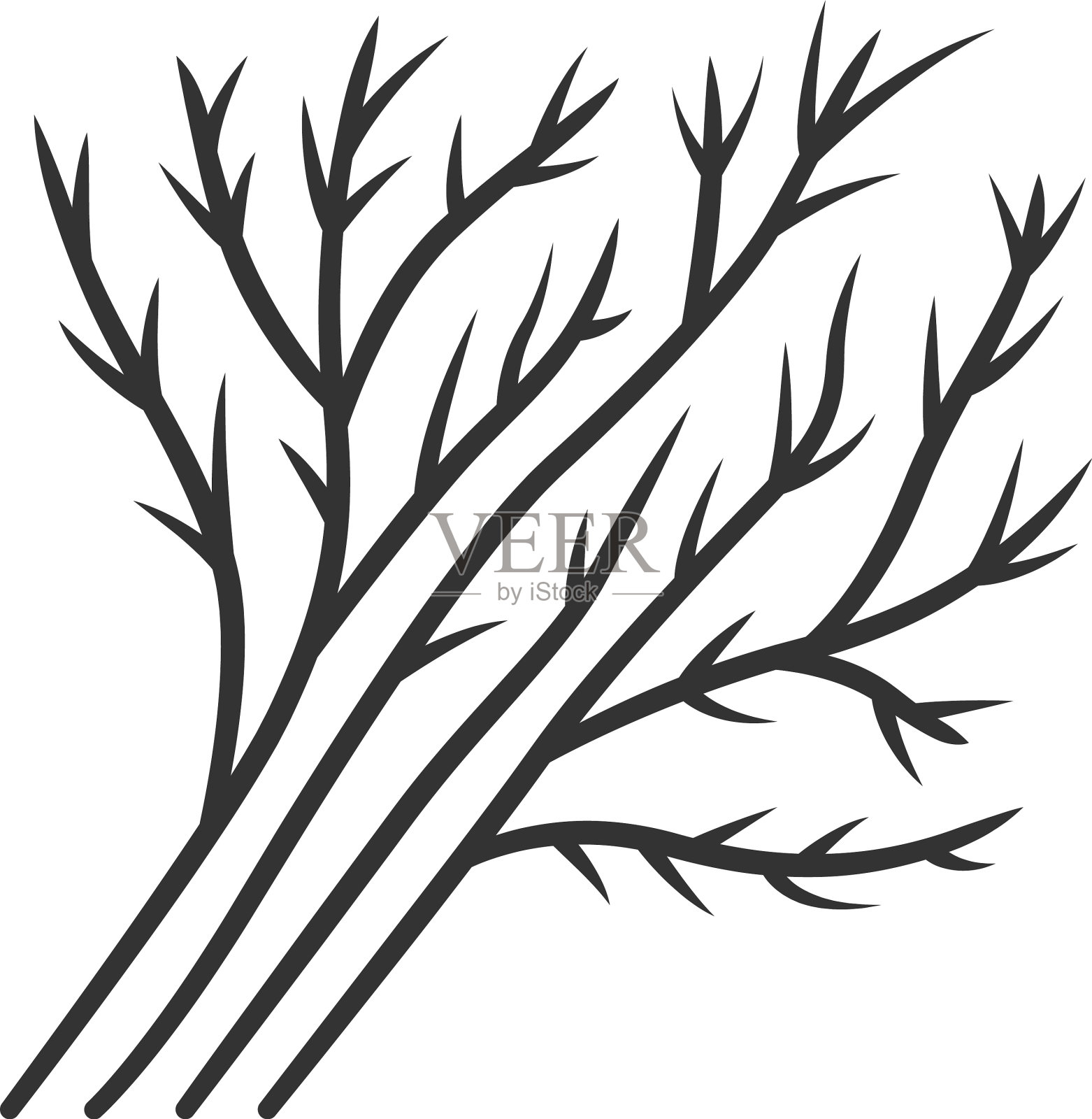 莳萝叶颜色图标农业植物设计元素图片