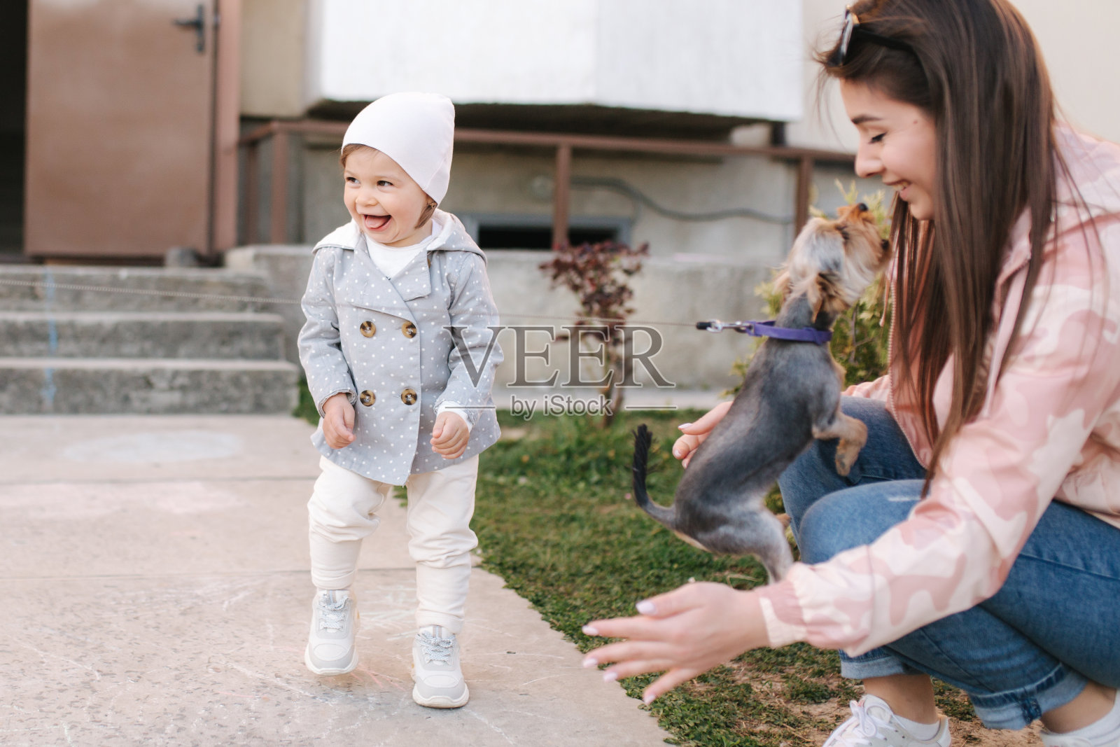 可爱的小女孩和妈妈在外面玩小朵。约克郡小猎犬又玩又跳。可爱的女孩和宠物玩得开心照片摄影图片