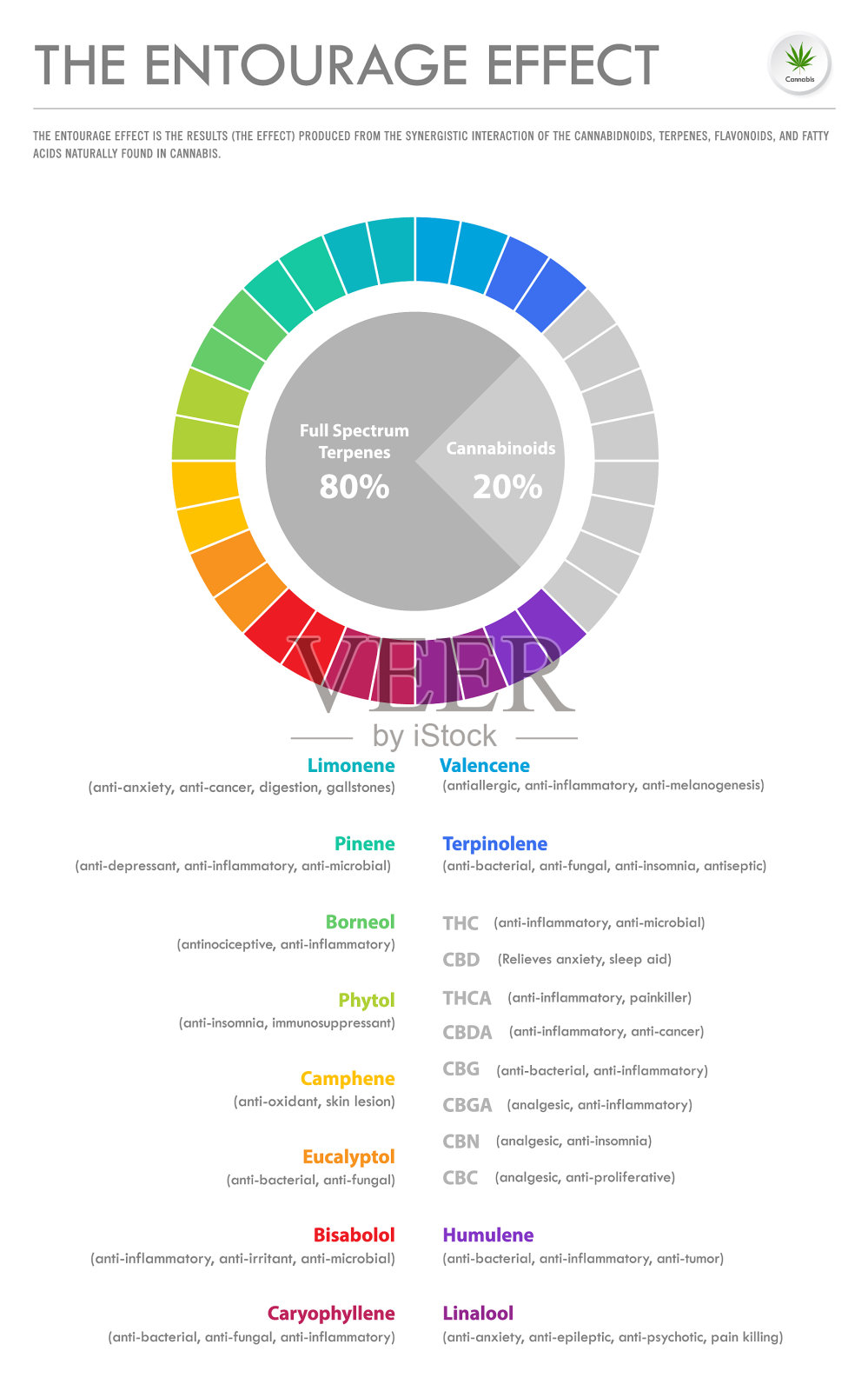 他的随行效应比例垂直业务插画图片素材