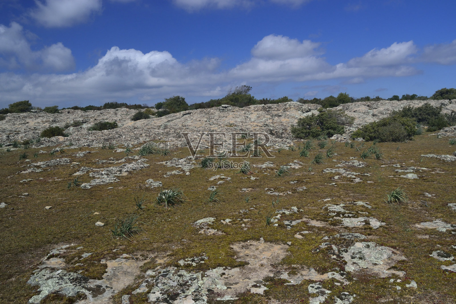 普鲁穆尔德加高原照片摄影图片