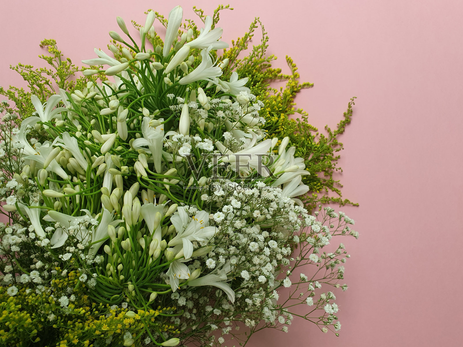 春季装饰用天然花卉照片摄影图片