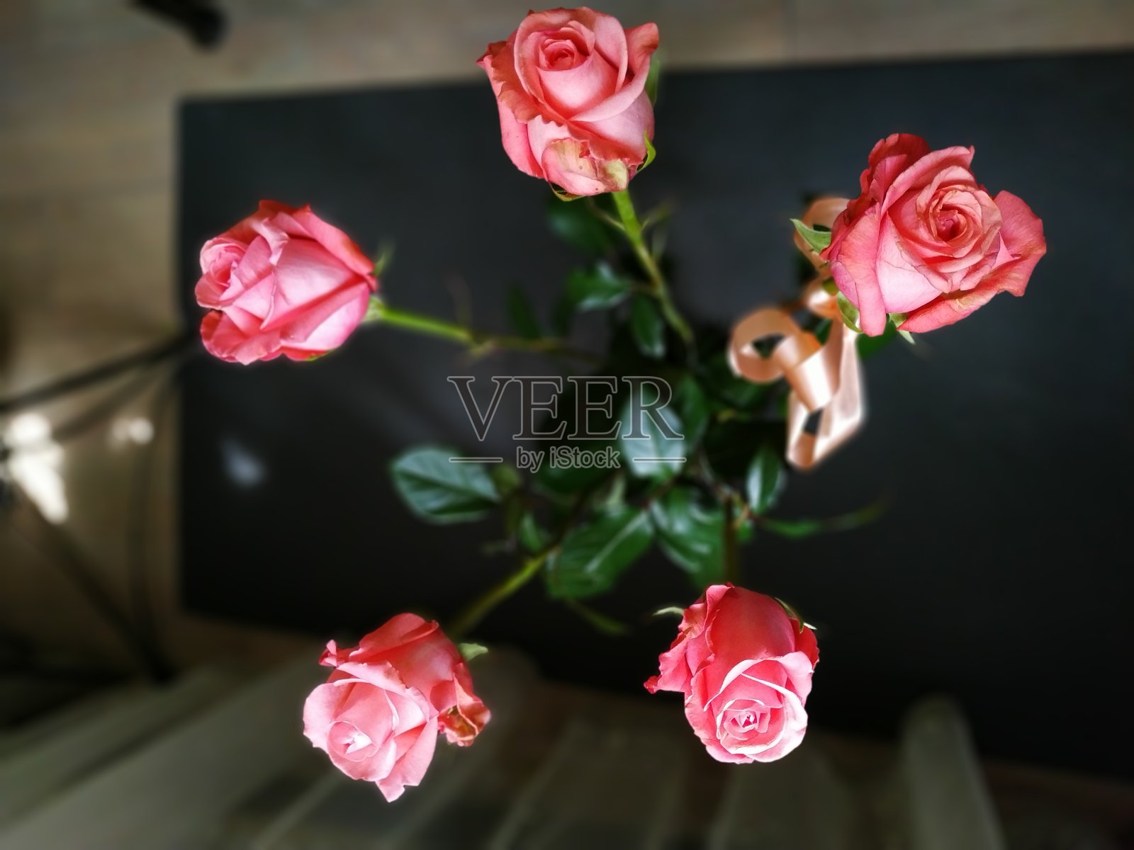 玫瑰照片摄影图片