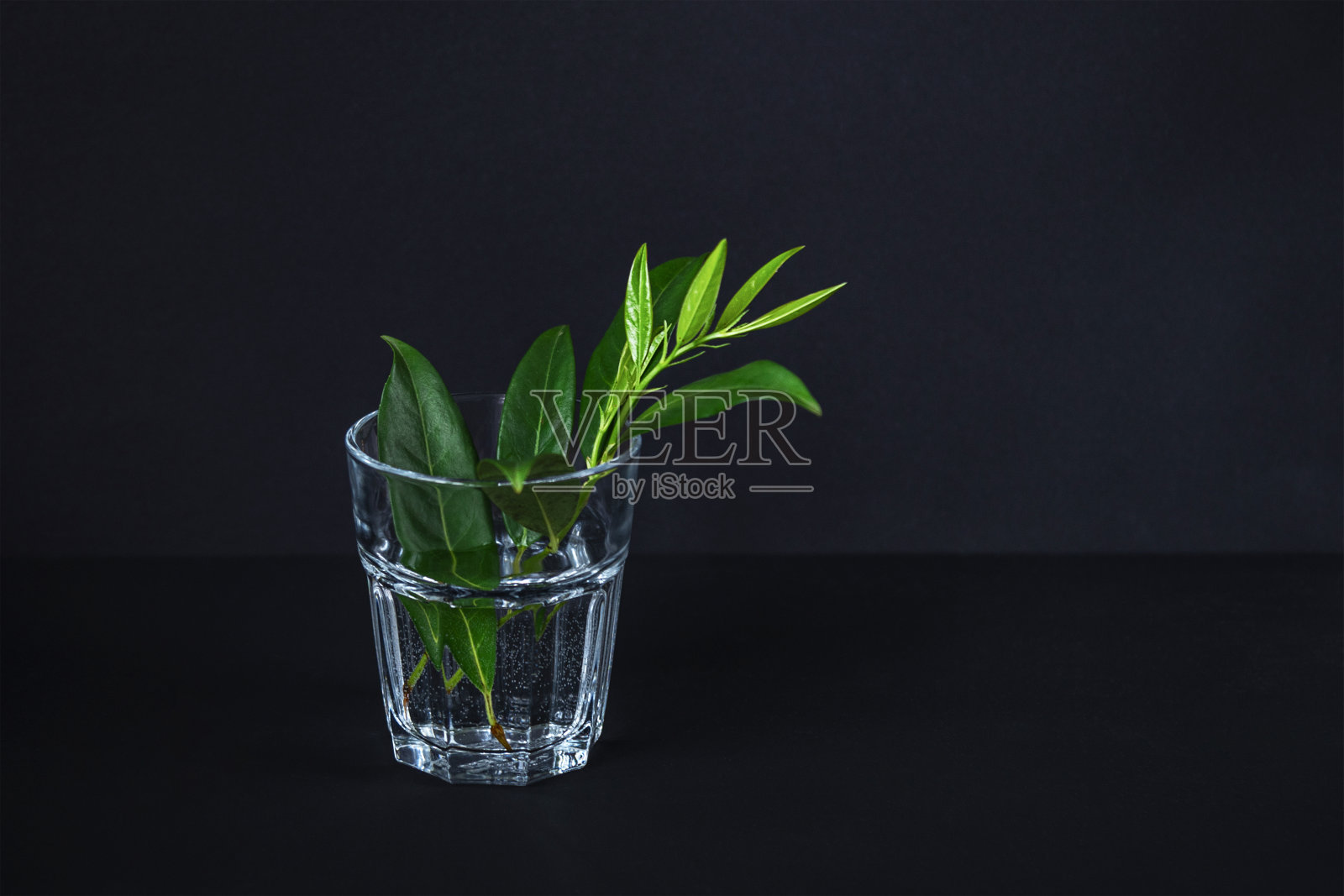 绿叶在一杯黑水的背景上，静物生照片摄影图片
