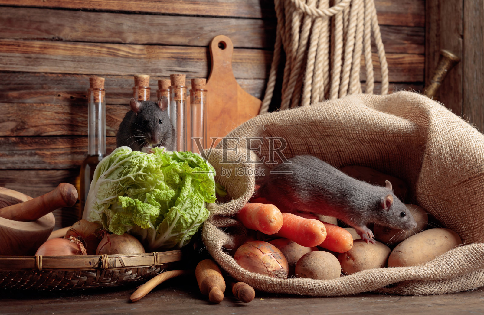 木桌上放着老鼠，还有蔬菜和厨房用具。照片摄影图片