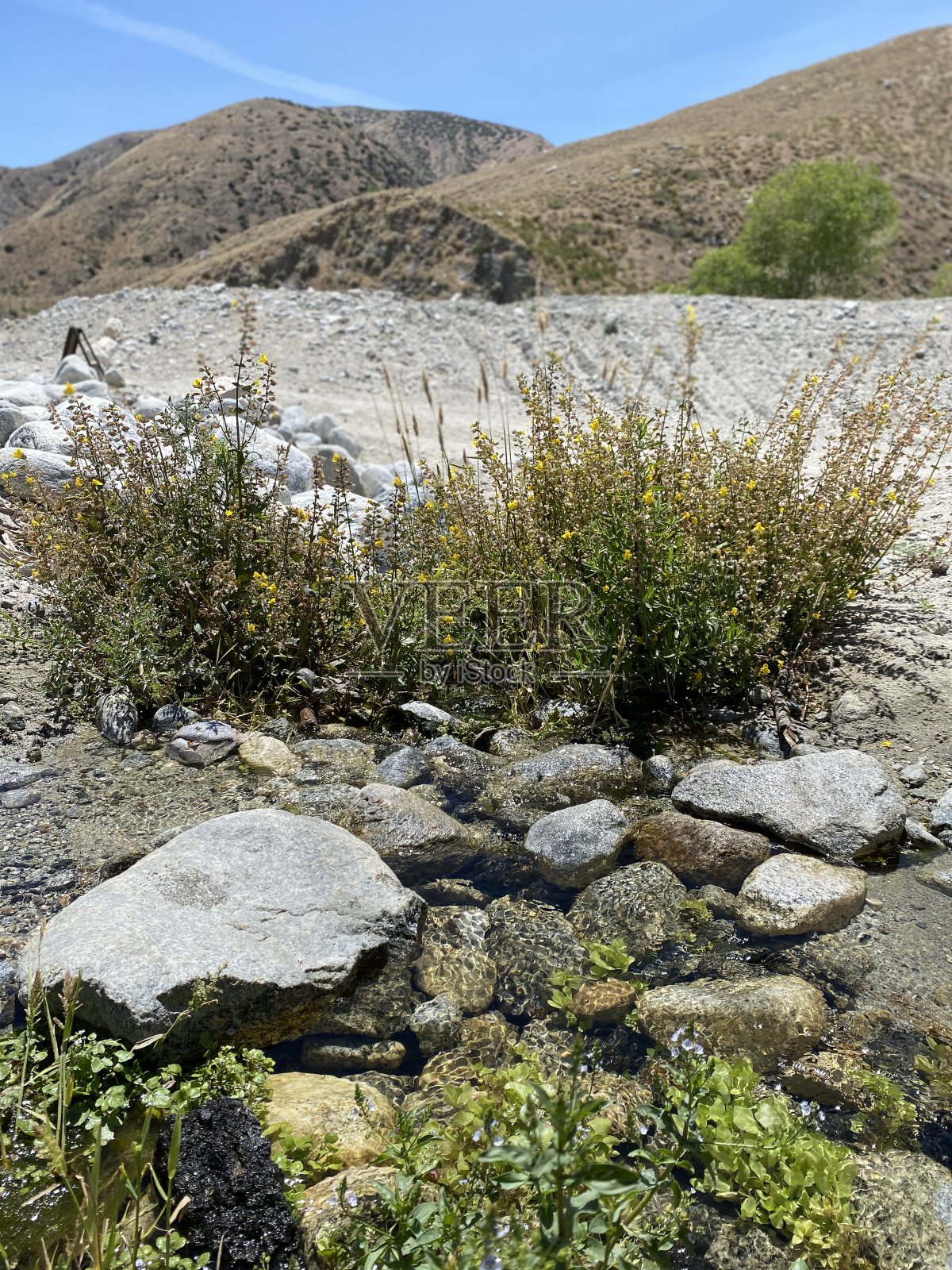 白色的水照片摄影图片
