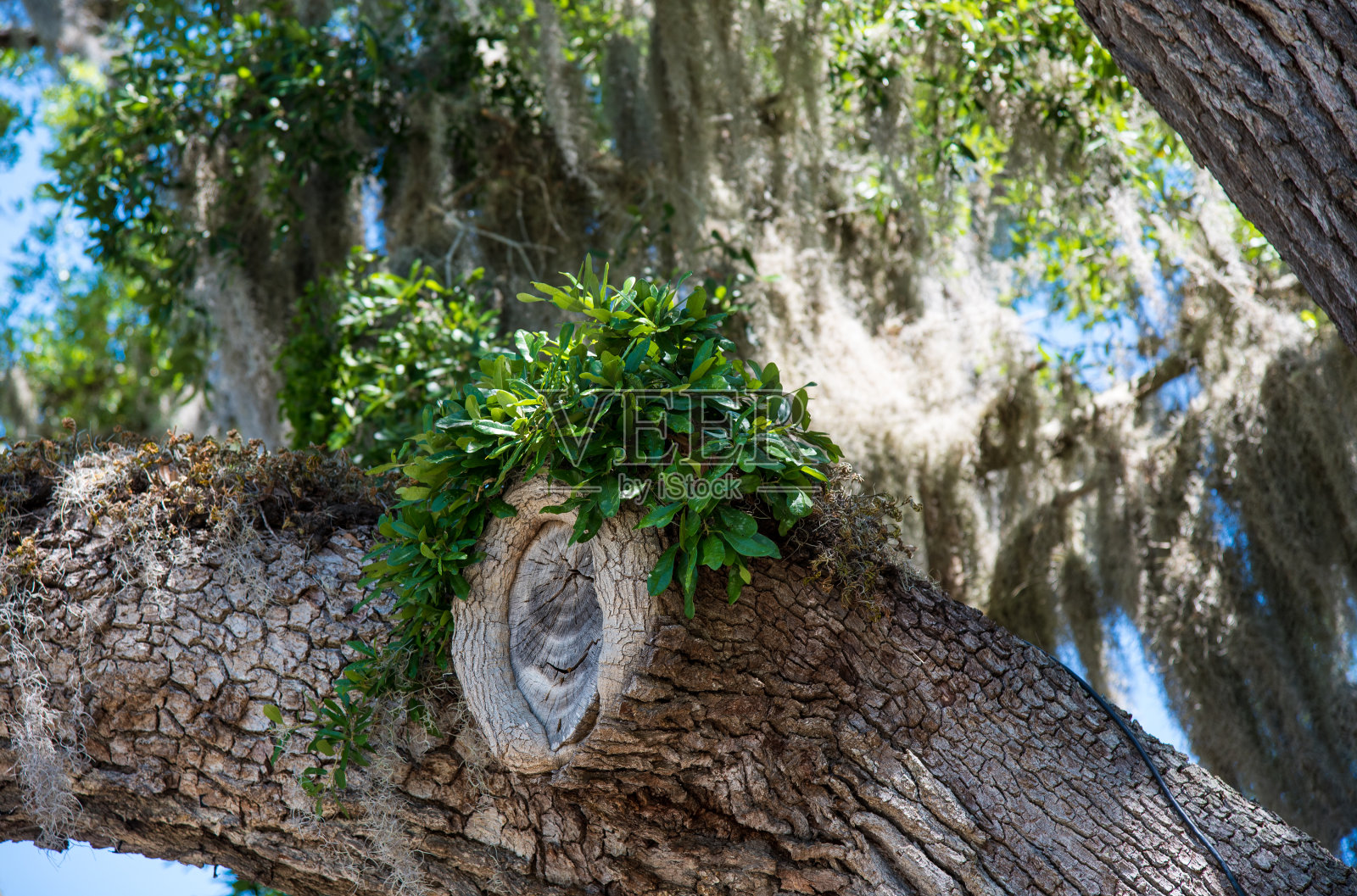 南部沿海的观点照片摄影图片