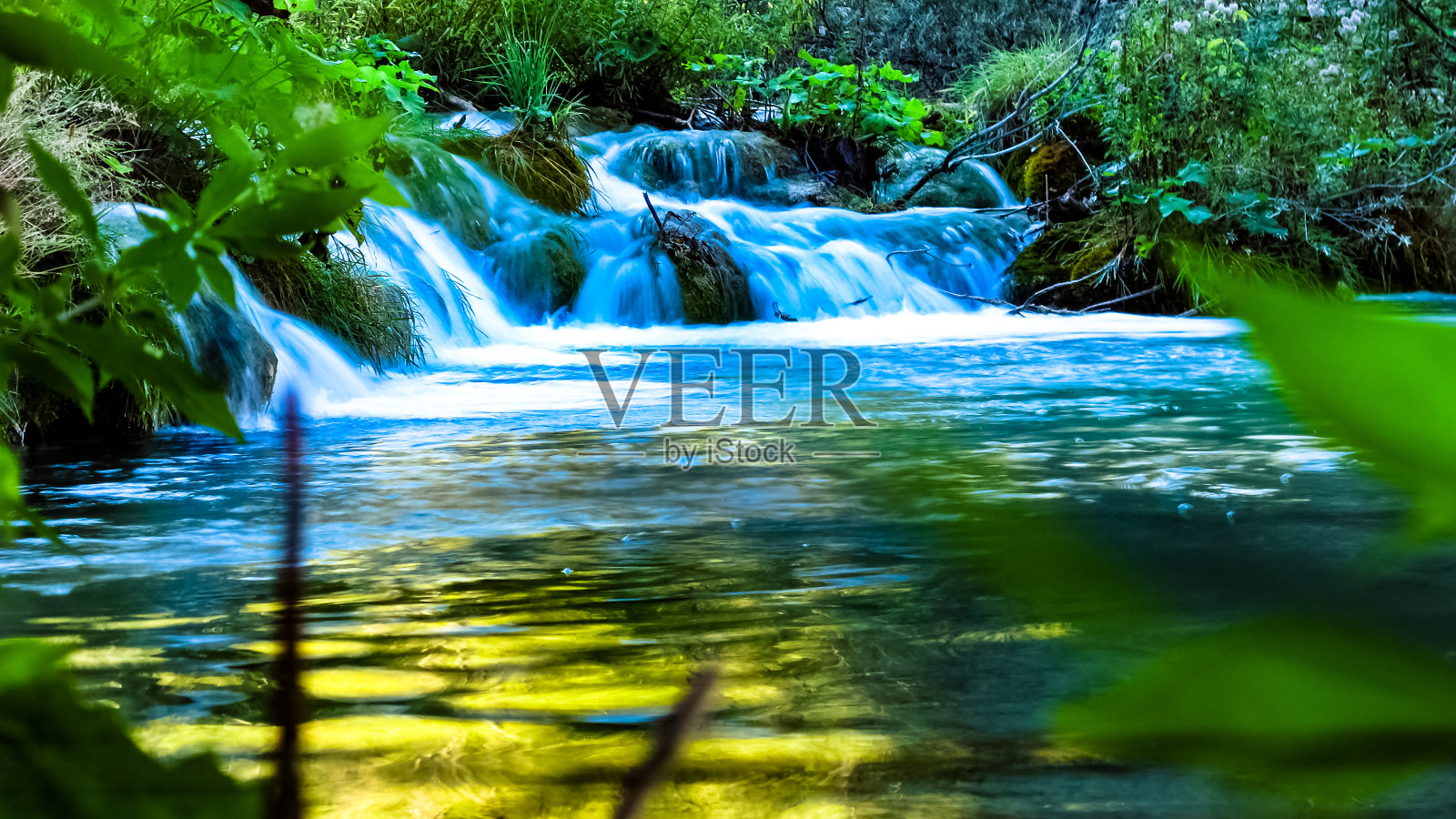 安抚照片摄影图片