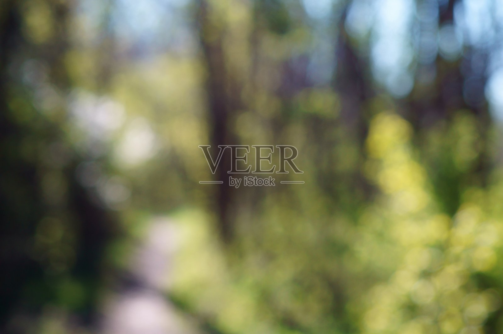 大自然中美丽的田野照片。美丽的野花和绿草。照片摄影图片