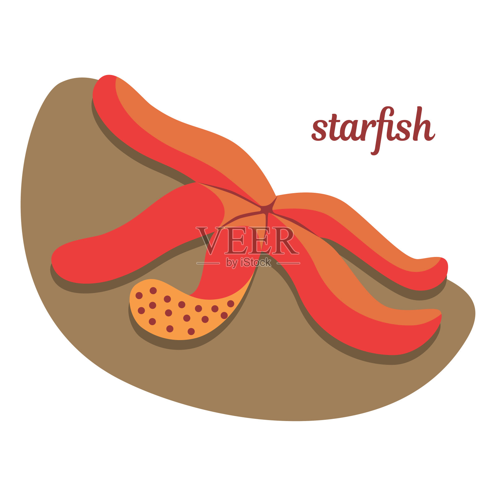 石头上的海星设计元素图片