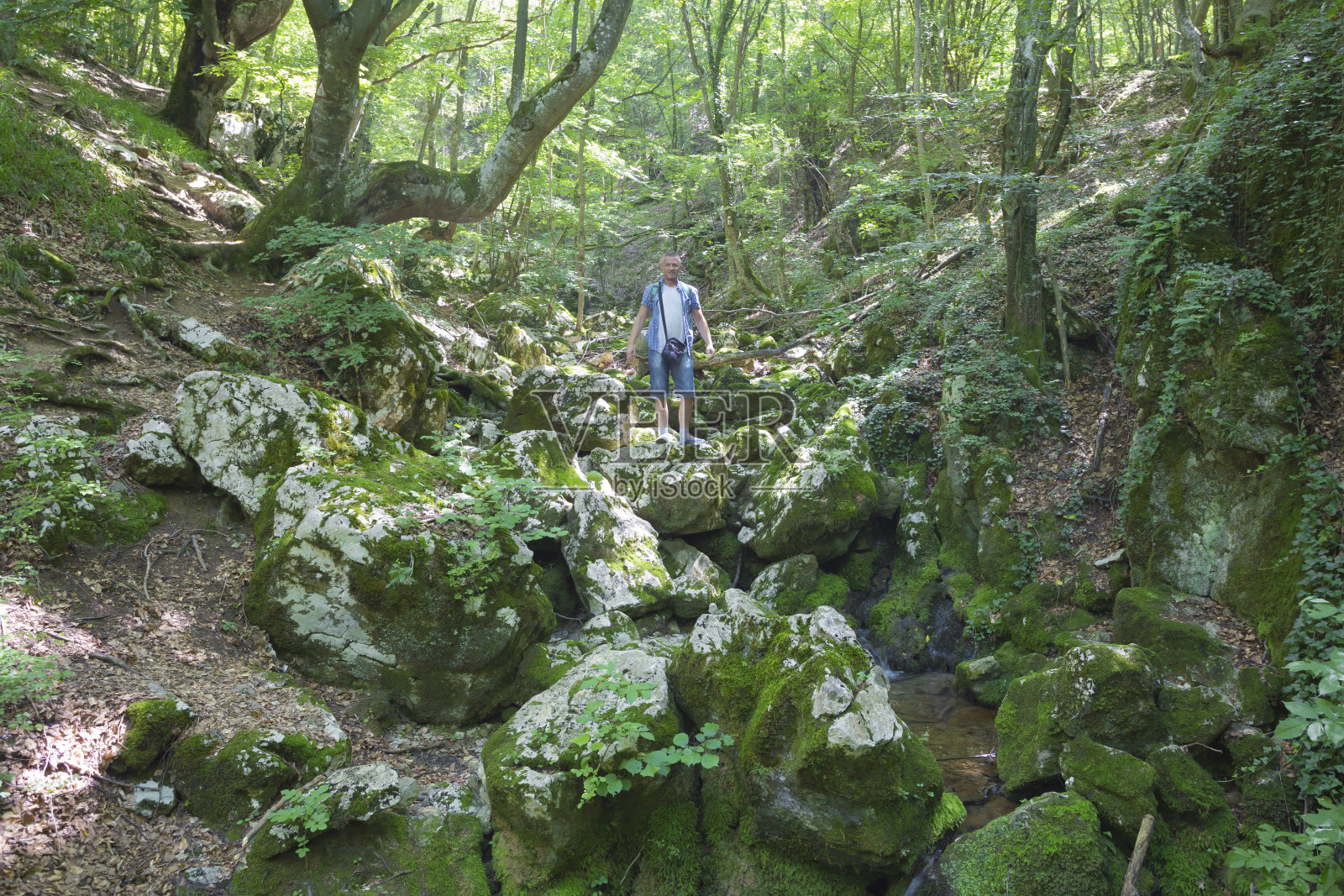 在阳光明媚的夏日，一个成年人站在美丽的绿色森林溪流峡谷的落石上照片摄影图片