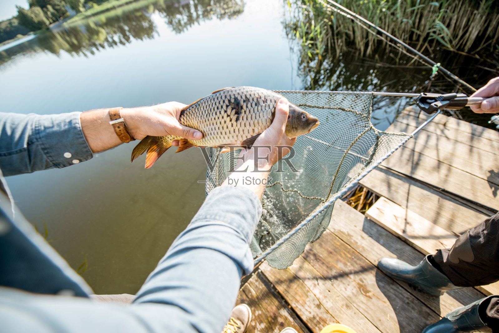 渔夫从网中捕鱼照片摄影图片