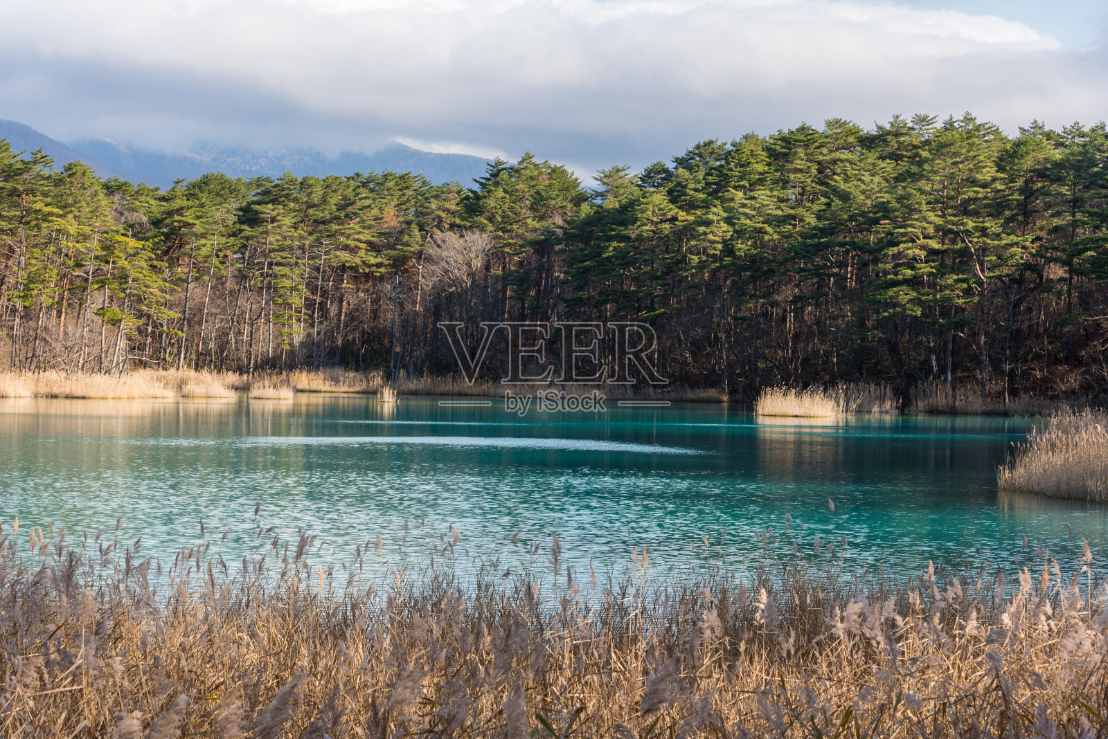 Goshiki-in池塘照片摄影图片