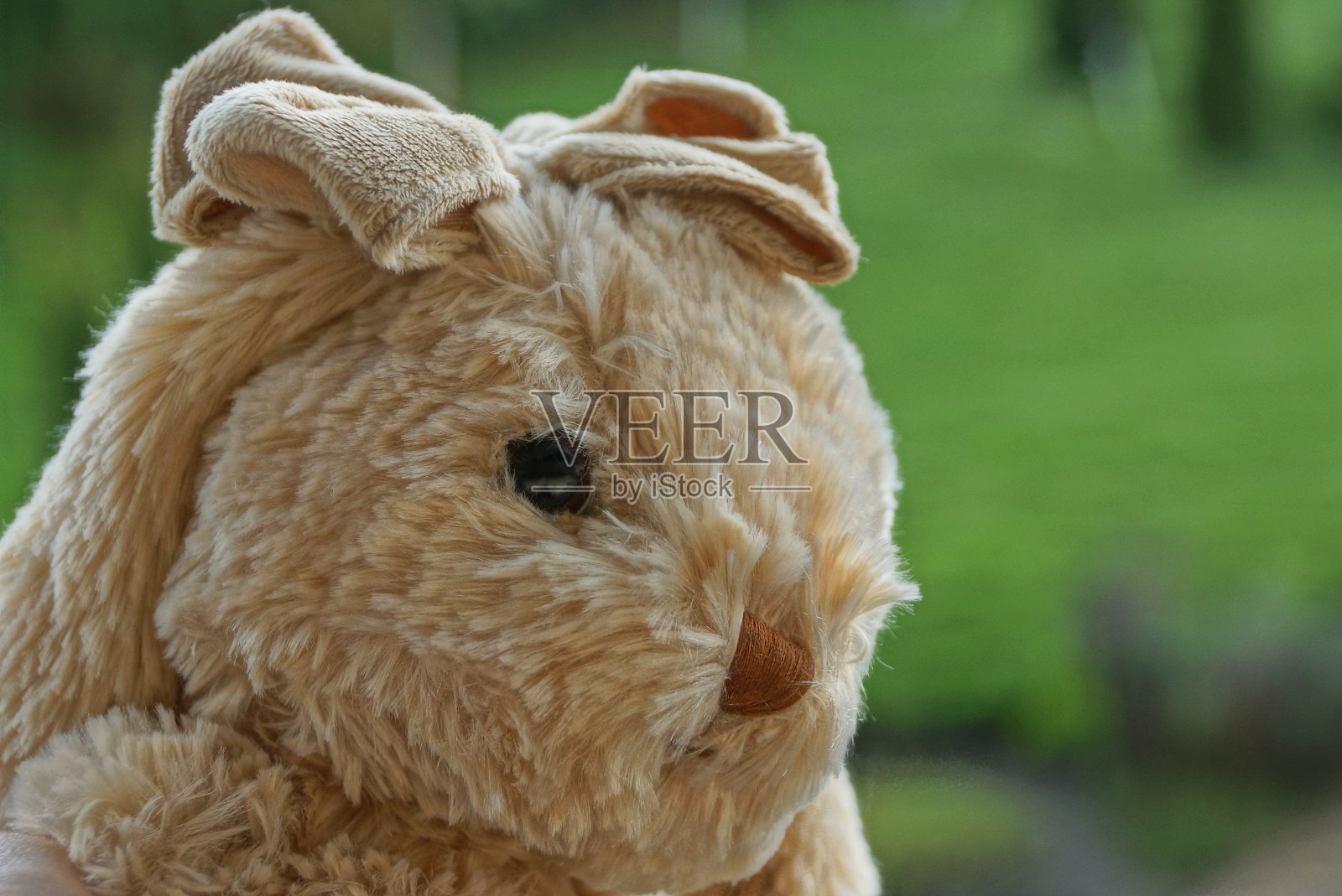 一个棕色毛兔玩具的头，带着一个弓照片摄影图片