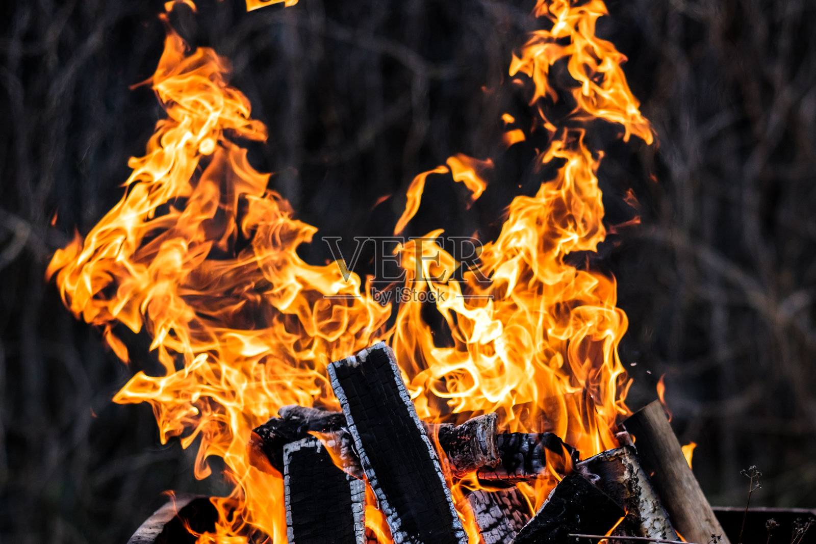 明亮的橙色火焰在黑暗的背景下燃烧。桦树柴火。照片摄影图片