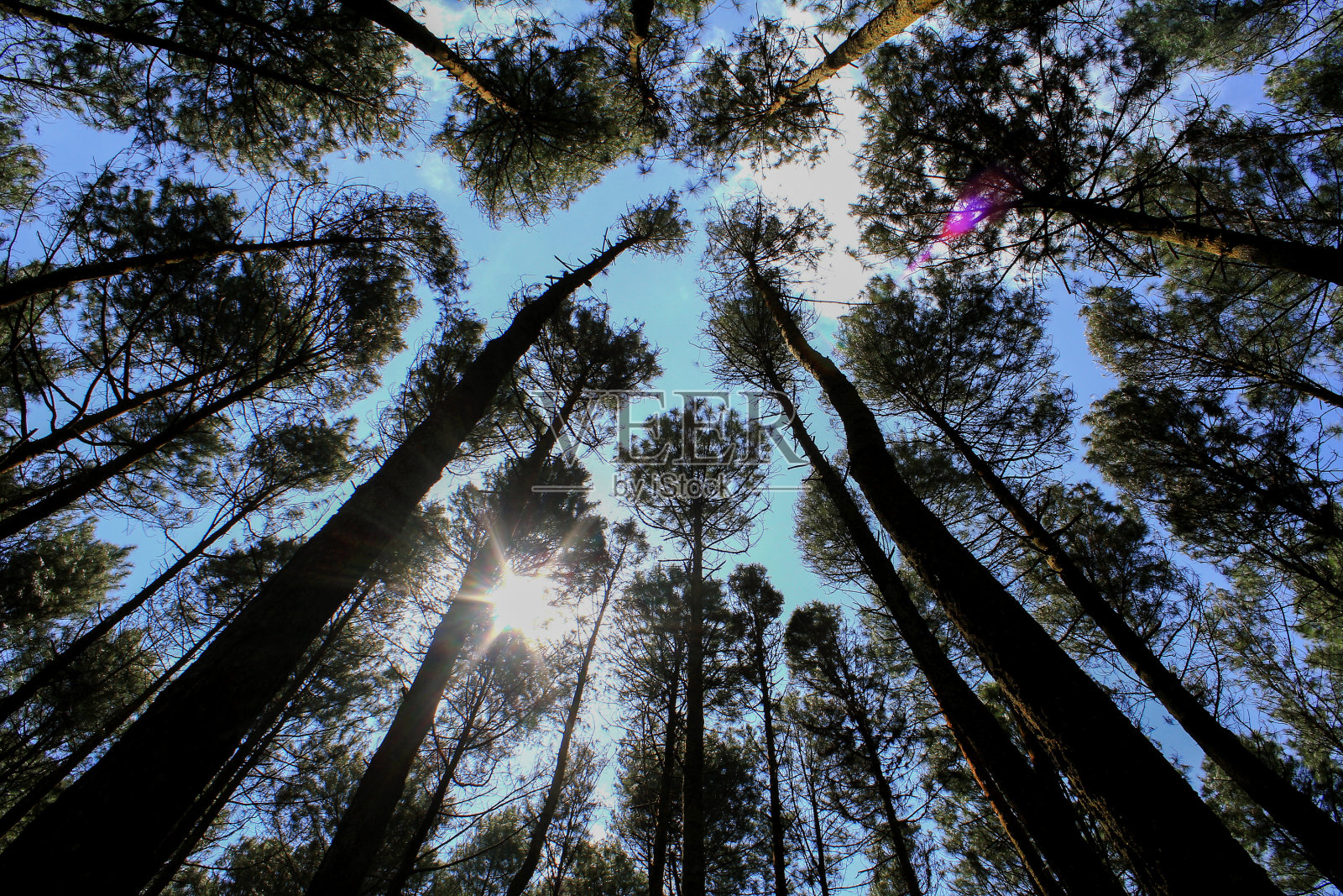 夏天照片摄影图片