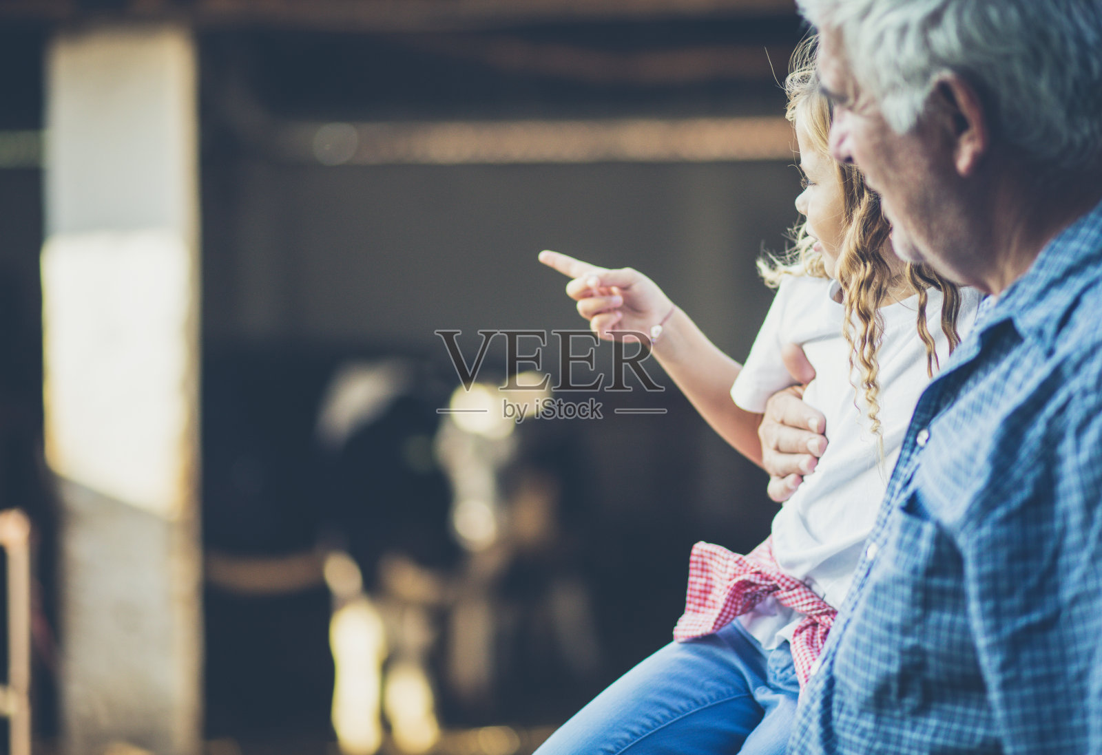 她喜欢与她的父亲和动物在农场度过时光。照片摄影图片