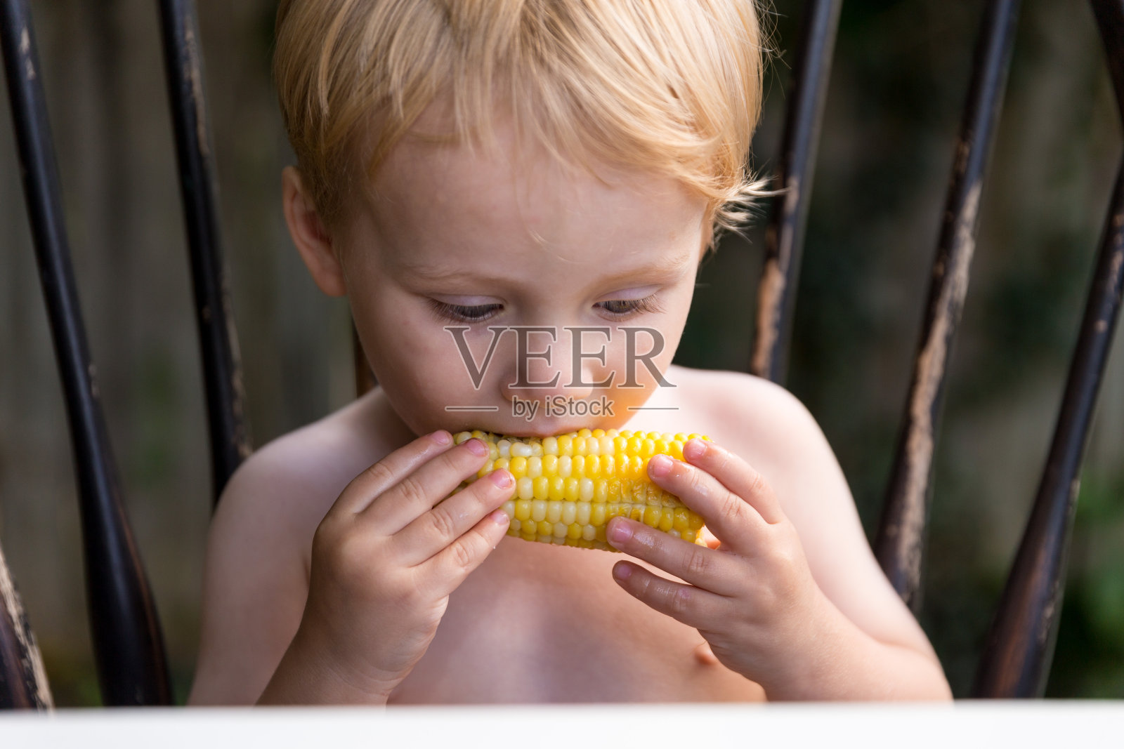 一个没穿衬衫的白人小孩，独自坐在那里吃玉米棒子照片摄影图片