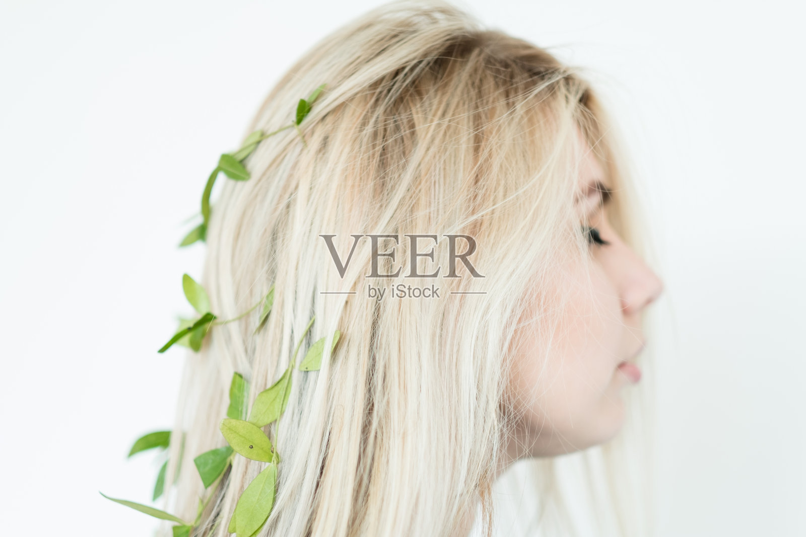 天然护发化妆品有机草药洗发水照片摄影图片