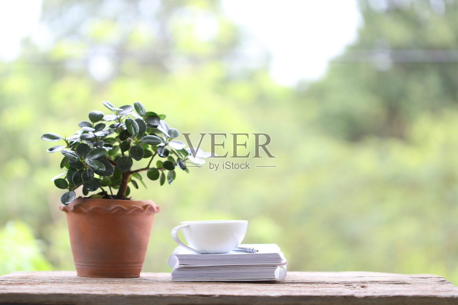 白色咖啡杯和小植物在旧的棕色壶，白色厚书在户外的木桌上，以自然的散景为背景照片摄影图片