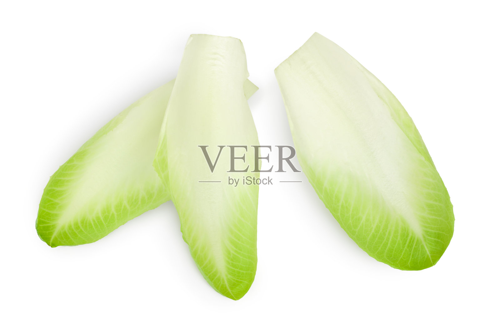 菊苣色拉叶孤立在白色背景与修剪路径和全景深的领域。前视图。平躺照片摄影图片