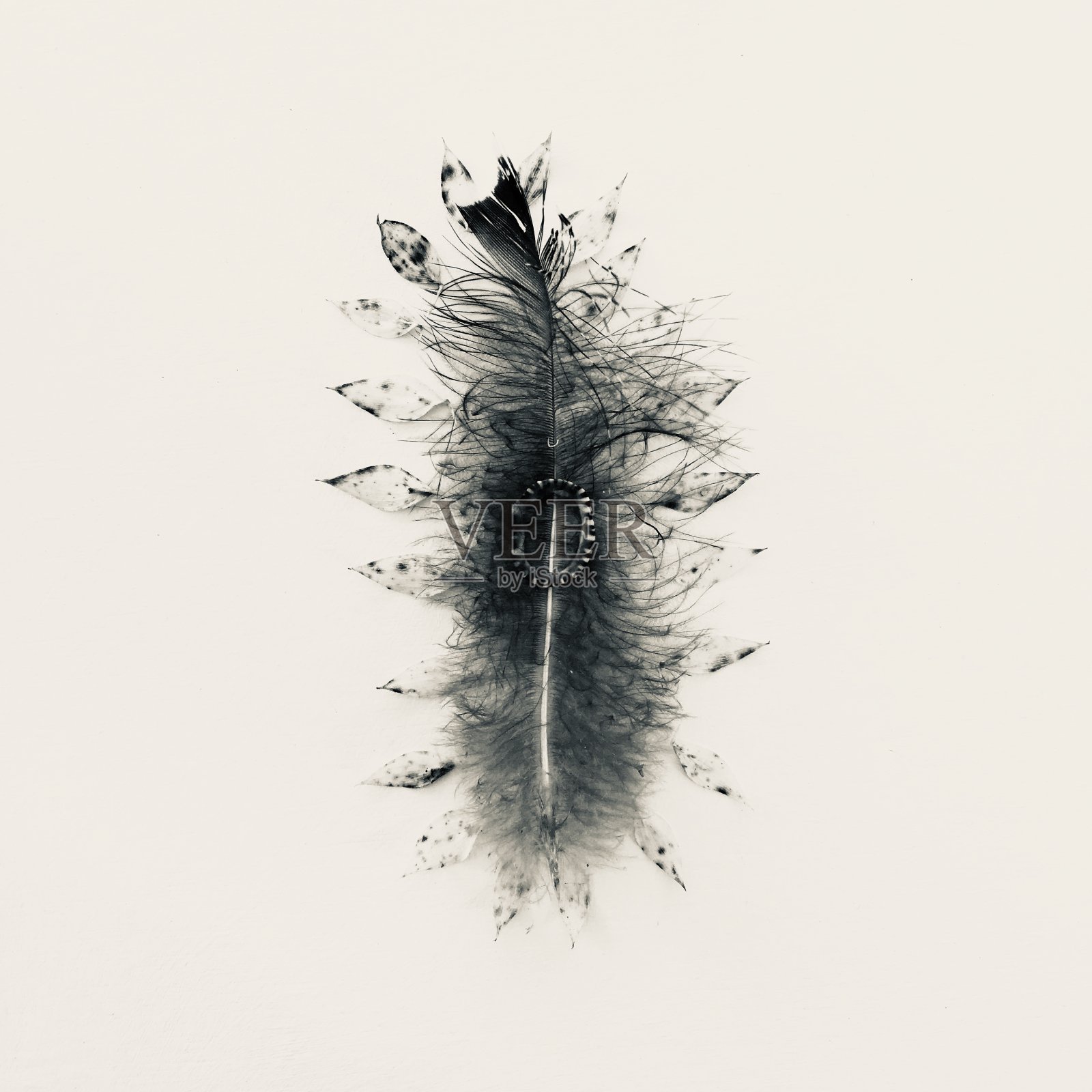 棘手的问题照片摄影图片