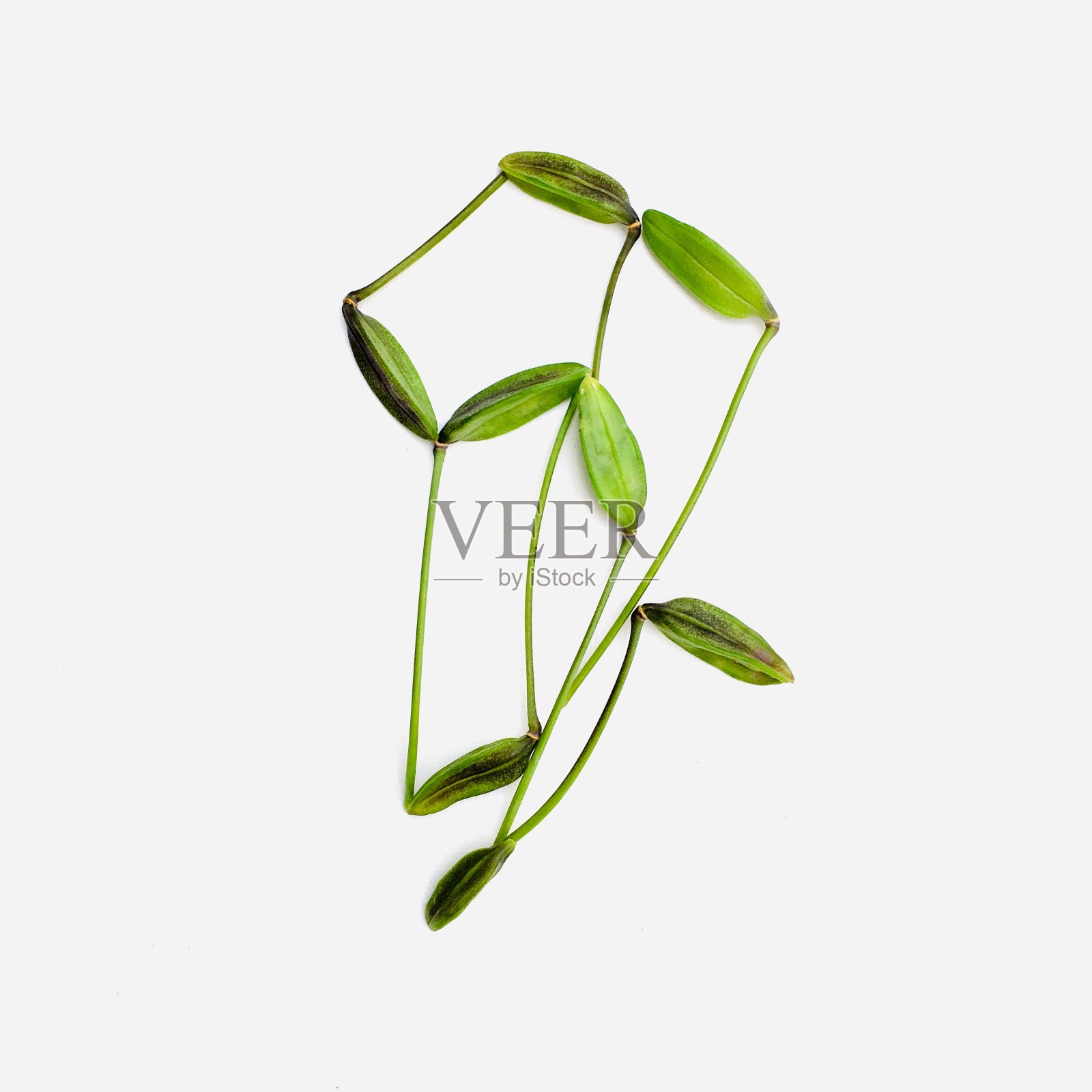 棘手的问题照片摄影图片