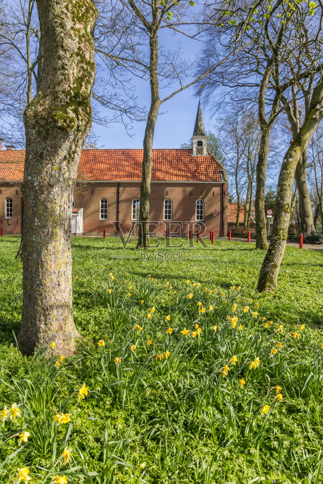 欧代尚历史悠久的教堂前的鲜花照片摄影图片
