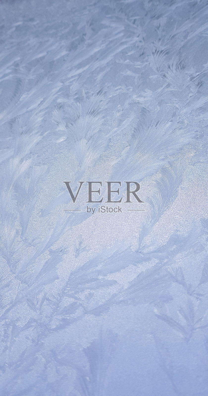 窗口上的冰照片摄影图片