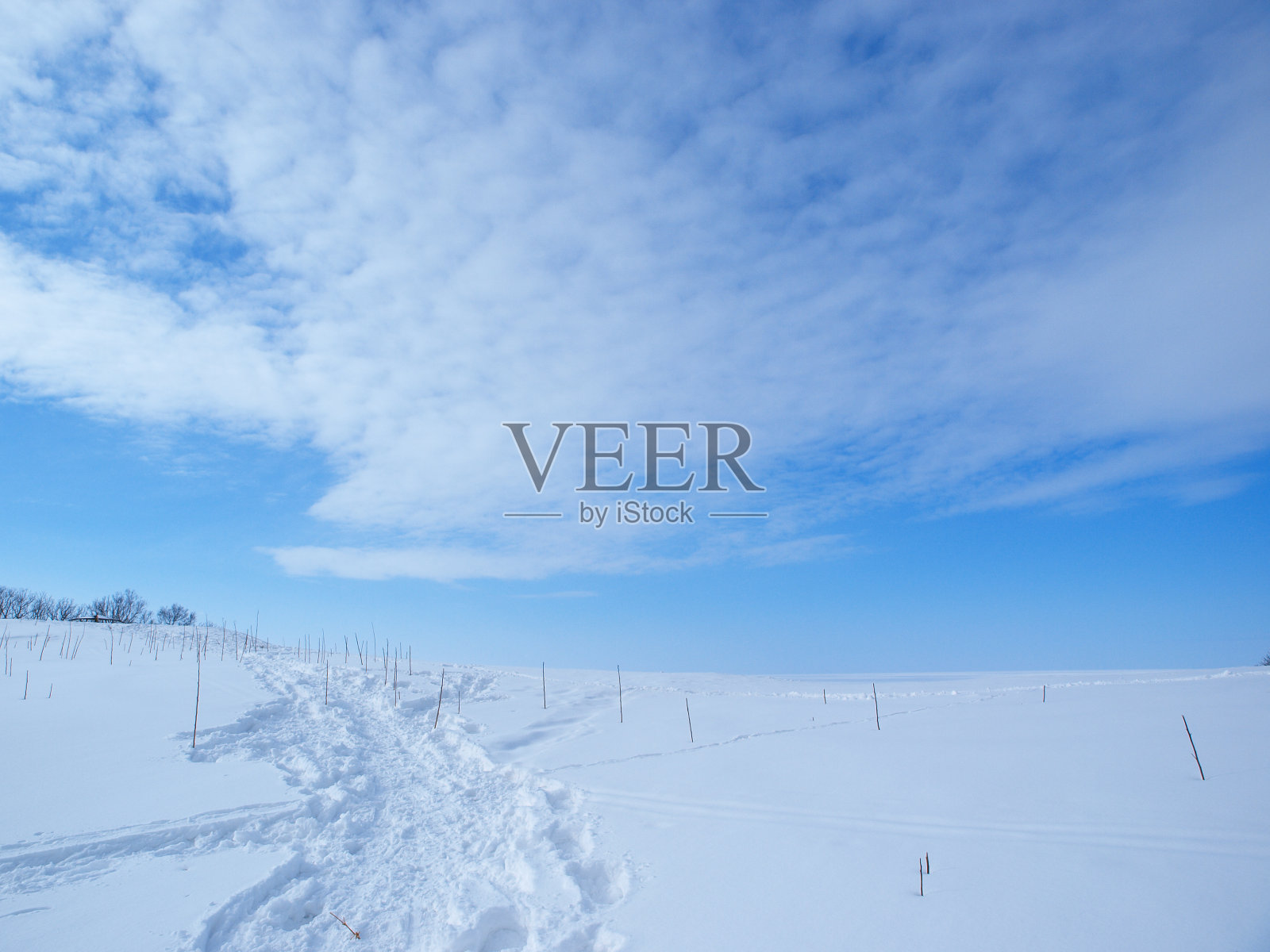 冬天的北海道风景照片摄影图片