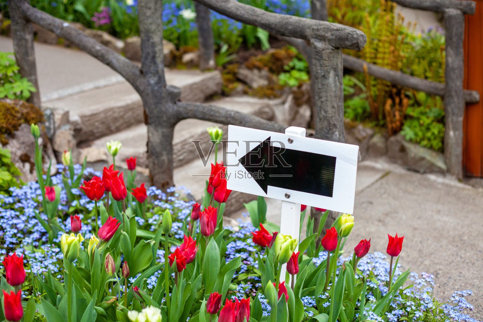 只有一个方法照片摄影图片