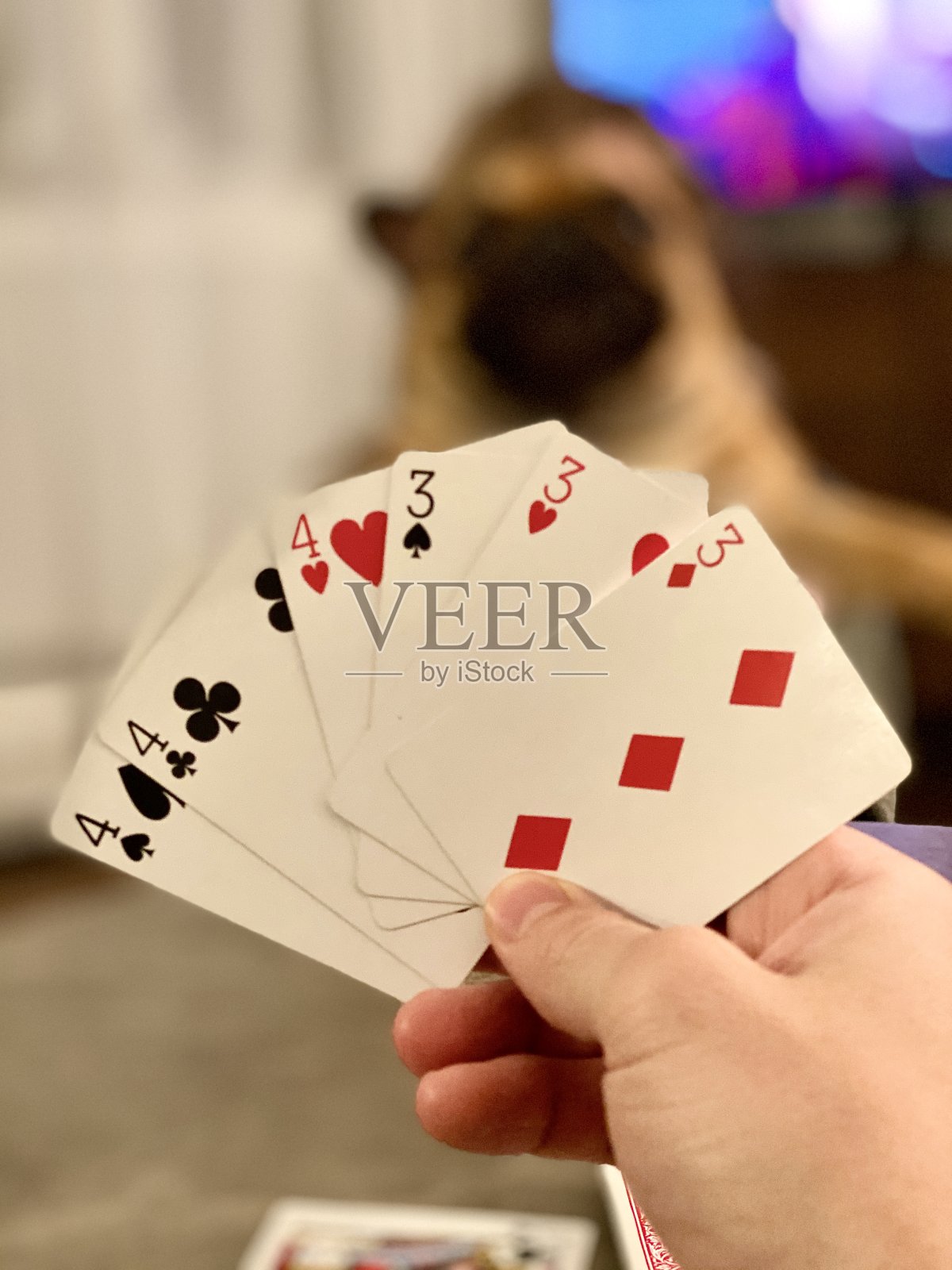 隔离期间玩扑克牌照片摄影图片